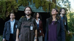 Episodio 6