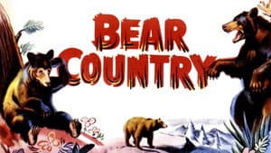 Bear Country — foto 1