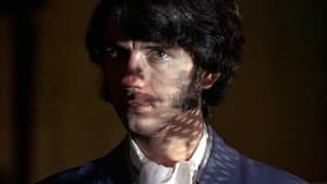 Head — foto 7