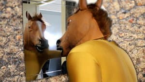 HOOVED — foto 1