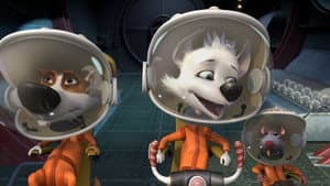 Perros astronautas — foto 2