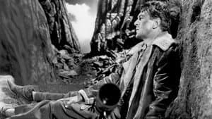 Hollywood contra Franco — foto 4