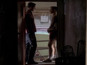 Episodio 15