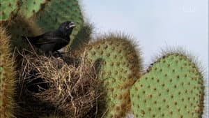 Episodio 8