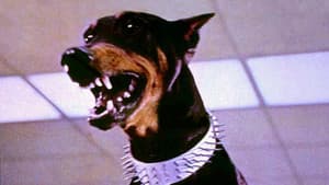 La banda de los doberman — foto 1