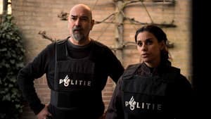 Episodio 8