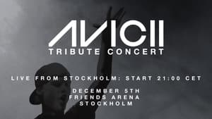 Avicii Tribute Concert - In Loving Memory of Tim Bergling — foto 1