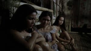 Virgin People — foto 5