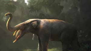 When Whales Walked: Journeys in Deep Time — foto 4