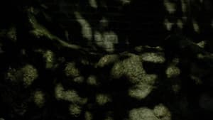 Spring Masks — foto 1