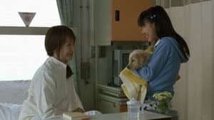 犬と私の10の約束 — foto 4