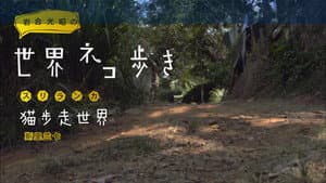 Episodio 44