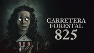 Carretera Forestal — foto 3