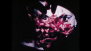 Cristaux — foto 8