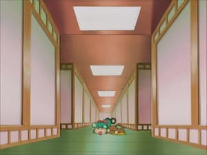 Episodio 29
