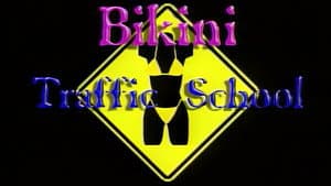Bikini Traffic School — foto 2