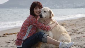 犬と私の10の約束 — foto 5