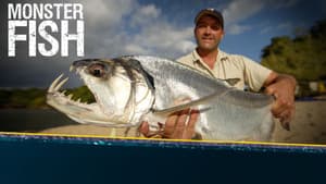 Monster Fish — foto 6