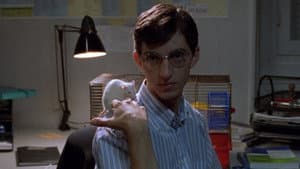 Sitcom — foto 2