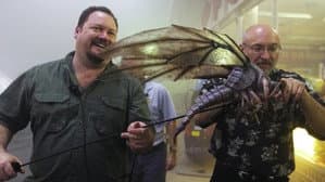 When Darkness Came: The Making of 'The Mist' — foto 1