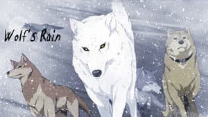 WOLF'S RAIN — foto 3