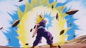 La pelea ha terminado, gracias, Goku