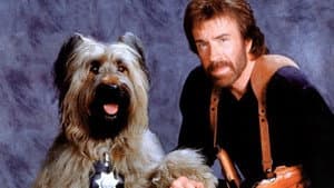 Top Dog — foto 1