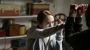 Episodio 13