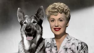 The Return of Rin Tin Tin — foto 1
