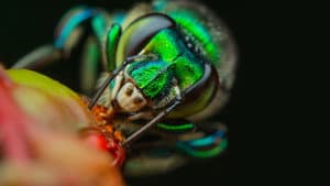 Bienvenidos a la selva