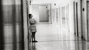 High School — foto 1