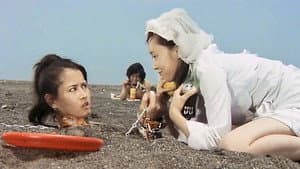 真夜中の妖精 — foto 3