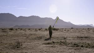 Águilas — foto 1