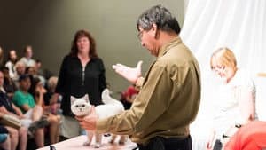 Catwalk: Tales from the Catshow Circuit — foto 1