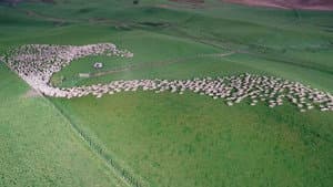 Aerial New Zealand — foto 3