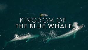 Kingdom of the Blue Whale — foto 3