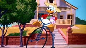 Crazy Over Daisy — foto 1