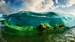 Shorebreak: The Clark Little Story — foto 1