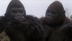 King Kong Vive — foto 10