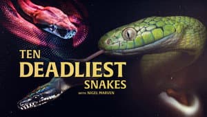 Ten Deadliest Snakes with Nigel Marven — foto 1