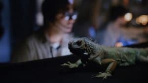 Carnosaur 2 — foto 1