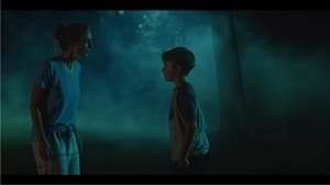 Dans l'ombre — foto 1