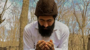 یار — foto 1