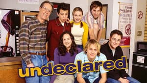 Undeclared — foto 4
