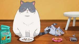 かなしきデブ猫ちゃん — foto 1