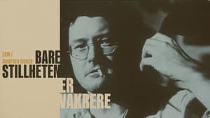 Bare stillheten er vakrere — foto 1