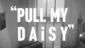 Pull My Daisy — foto 2