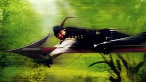 Las locas aventuras de Robin Hood — foto 2