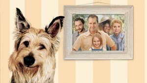 El Perro Sonriente — foto 2