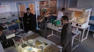 Episodio 2